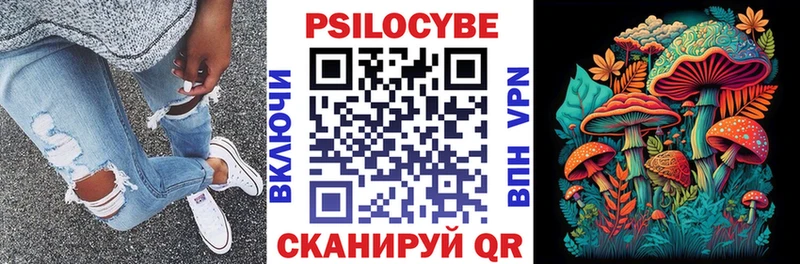 Галлюциногенные грибы мицелий  blacksprut как зайти  Отрадный 