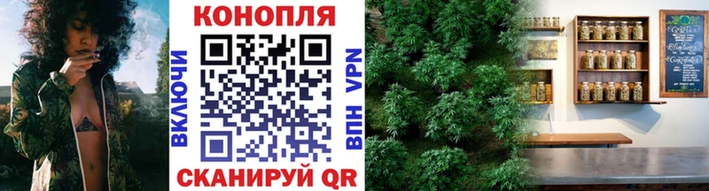 как найти закладки  Отрадный  Конопля THC 21% 